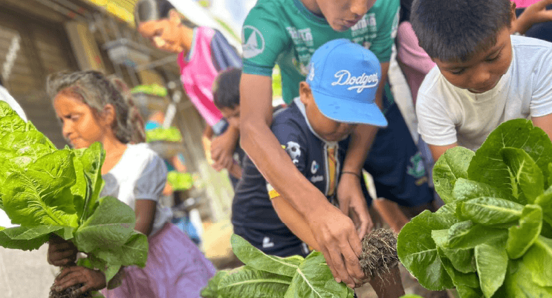 Sembrando Buenos Vivires: el arte de convivir en la escuela